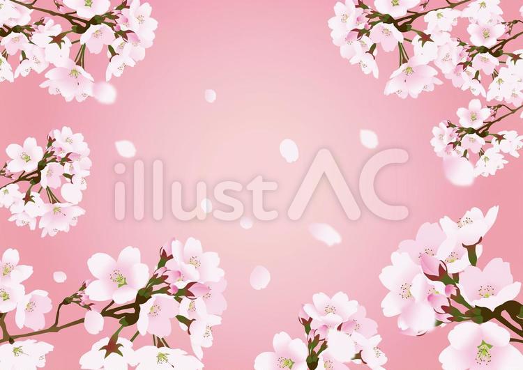 桜と空　4　ピンク 桜,背景,フレームのイラスト素材
