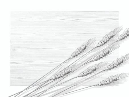 白黒の麦穂と板の背景1　mugi015 麦穂,白黒,リアル,ナチュラル,お洒落,自然,植物,大人っぽい,枠,背景のイラスト素材