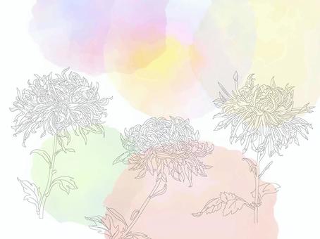 やさしげな背景218＿菊 花,壁紙,フレーム,菊,キク,秋,背景,秋の花,植物,枠のイラスト素材