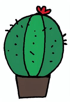 玉サボテン 玉サボテン,サボテン,鉢,鉢植え,植物,花,棘,丸い,球,緑のイラスト素材