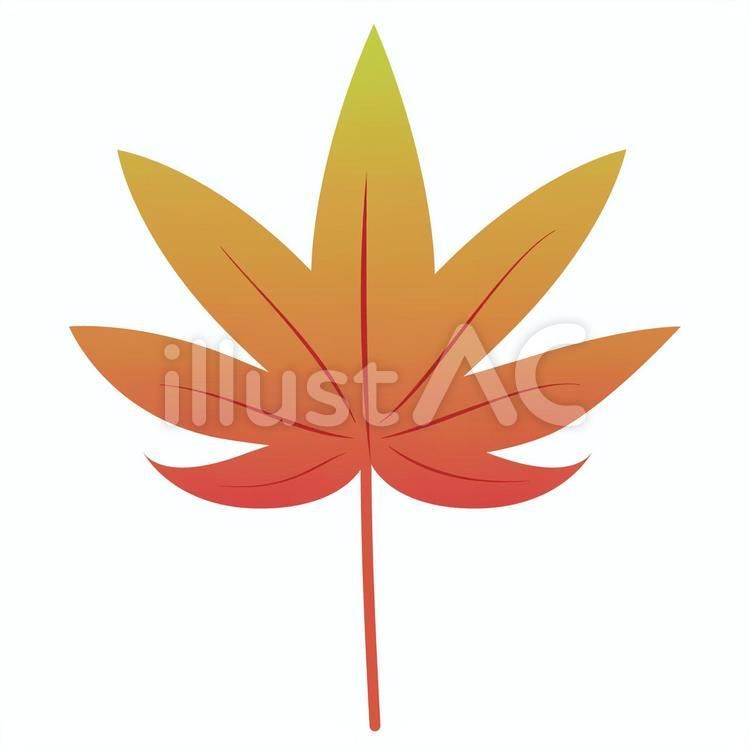 秋の紅葉もみじ_01 秋,紅葉,もみじのイラスト素材