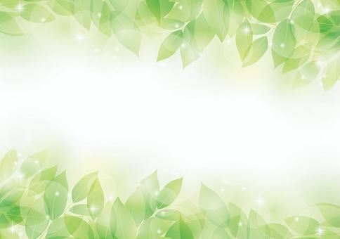 Illustration, green, background, frame, 