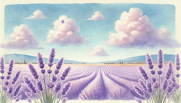 Lavender fields and relaxing scenery, JPG Lavender fields and relaxing scenery, लैवेंडर, सूर्यास्त, क्षेत्र, JPG