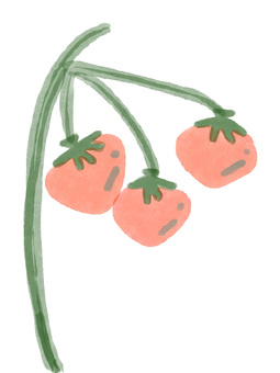 柿 柿,秋,果物,旬,手描き,食べ物,水彩風,植物,収穫,シンプルのイラスト素材