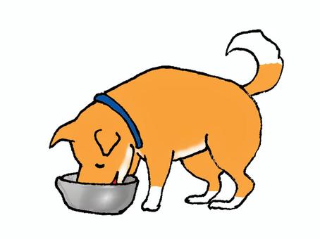ごはんを食べる犬1 ごはんを食べる犬1 動物,犬,ごはんのイラスト素材