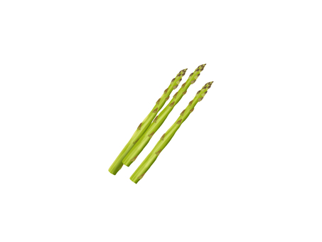 グリーンアスパラガス アスパラガス,グリーンアスパラガス,野菜,はかま,春野菜,食材,緑黄色野菜,茎,キジカクシ科,北海道のイラスト素材