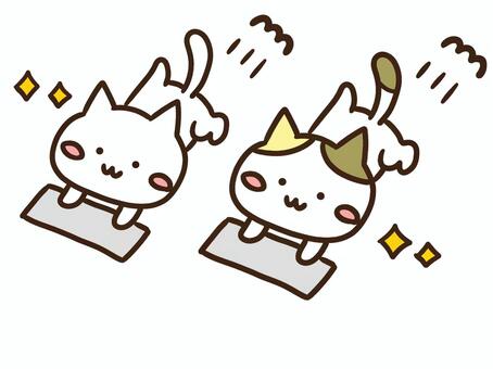 年末大掃除で床を雑巾がけするかわいい猫達 年末,大掃除,雑巾がけ,ねこ,競争,子供,掃除,片付け,床,お手伝いのイラスト素材