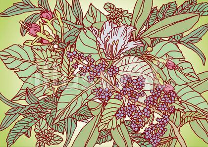 全面植物の背景画像