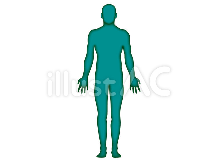 人体図　正面　立体　男性2 人体,人体図,正面のイラスト素材
