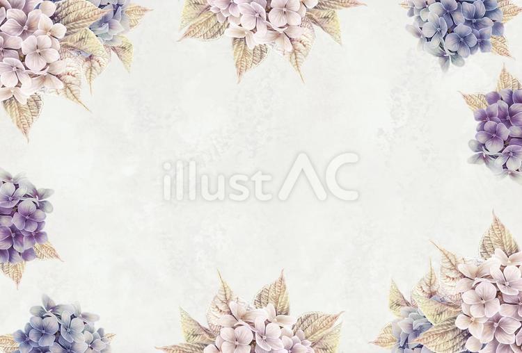 シックな色合いのアジサイの花枠2 あじさい,梅雨,夏のイラスト素材