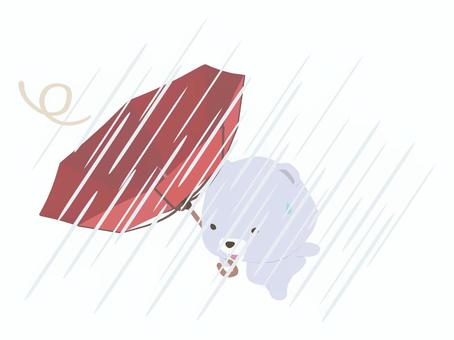 嵐_熊 台風,クマ,シロクマ,笑顔,嵐,強風,雨,大雨,傘,動物のイラスト素材