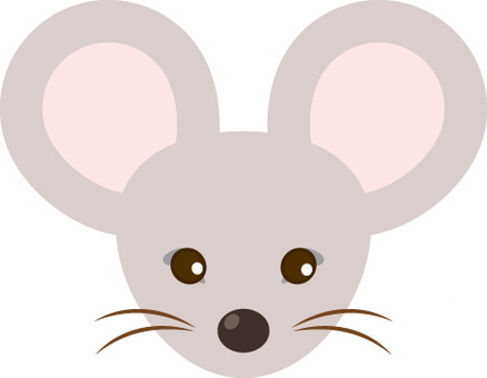 Mouse face, mouse, face, mammalian, JPG, PNG and EPS