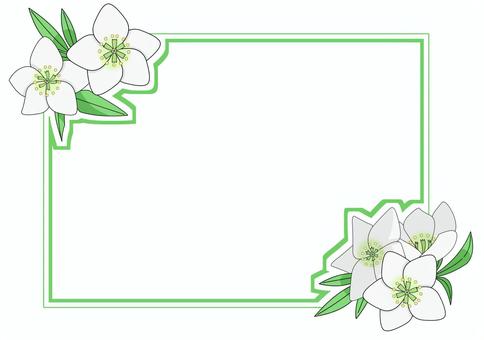 christmas rose frame, JPG and PNG christmas rose frame, , JPG and PNG