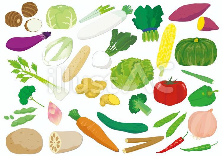 野菜のいろいろセット 野菜,キッチン,さといものイラスト素材