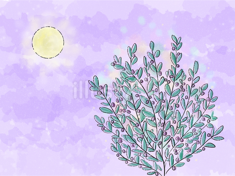 オリーブの木と満月 オリーブ,木,満月のイラスト素材
