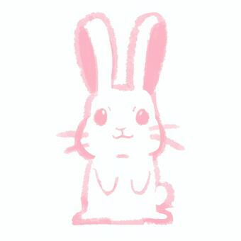 Rabbit, rabbit, animal, easter, JPG and PNG