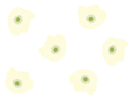 白いアネモネの背景 アネモネ,春,背景,白背景,白バック,花,植物,シンプル,かわいい,白色のイラスト素材