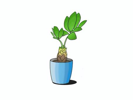 お部屋のインテリアにピッタリの観葉植物 観葉植物,植物,インテリア,鉢植え,植木鉢,園芸,ディスプレイ,インテリアグリーン,癒し,室内装飾のイラスト素材