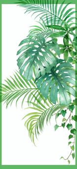 Houseplant smartphone wallpaper, JPG Houseplant smartphone wallpaper, foliage plant, plant, leaf, JPG