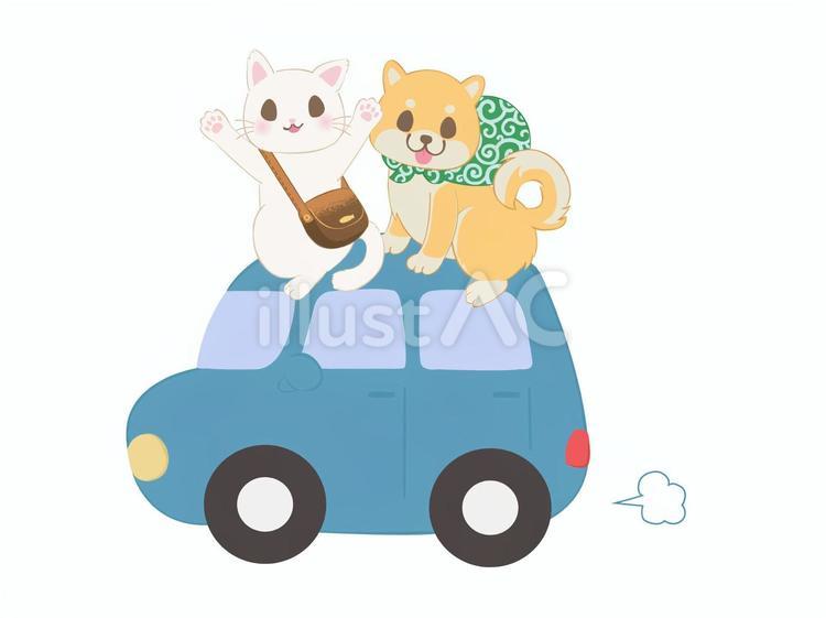 車に乗っておでかけ　(白猫・柴犬) 猫,犬,動物のイラスト素材