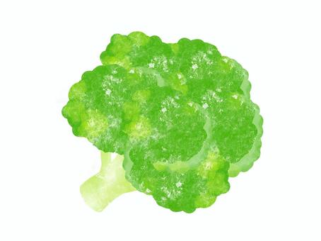 Illustration, broccoli, green and yellow vegetables, vegetable, 