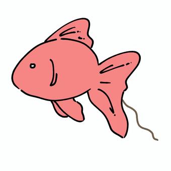 フンがついてる金魚 金魚,生き物,かわいい,魚,水槽,ふん,うんち,便,おしり,汚いのイラスト素材