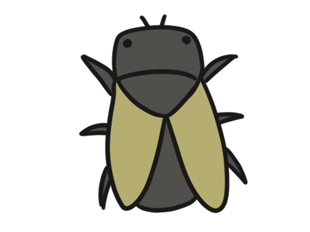 セミ　黒　イラスト 生き物,動物,セミ,虫,羽,夏,せみ,虫取り,昆虫採集,昆虫のイラスト素材