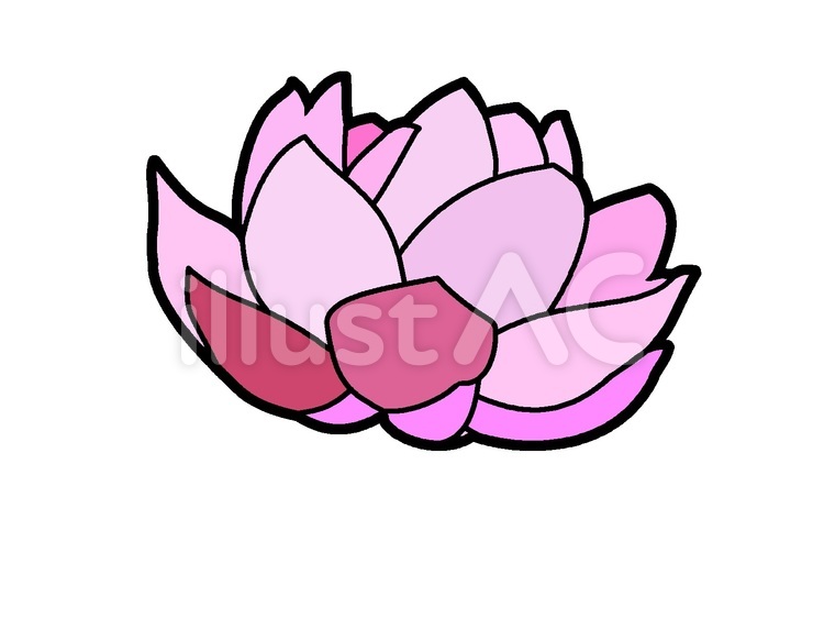 ピンク色の花びらのアイコンタイプ２ 花,花びら,花弁のイラスト素材