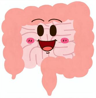 元気で笑顔の腸 大腸,小腸,お腹,虫垂,盲腸,上行結腸,横行結腸,下行結腸,直腸,空腸のイラスト素材