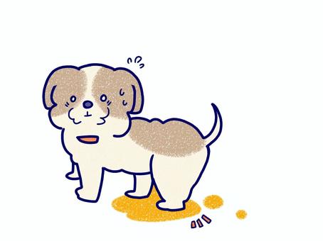おしっこを漏らしてしまったシーズー犬 おしっこを漏らしてしまったシーズー犬 シーズー犬,おしっこ,失敗,しつけ,動物,小型犬,トイレ,焦る,汚れ,保護犬のイラスト素材