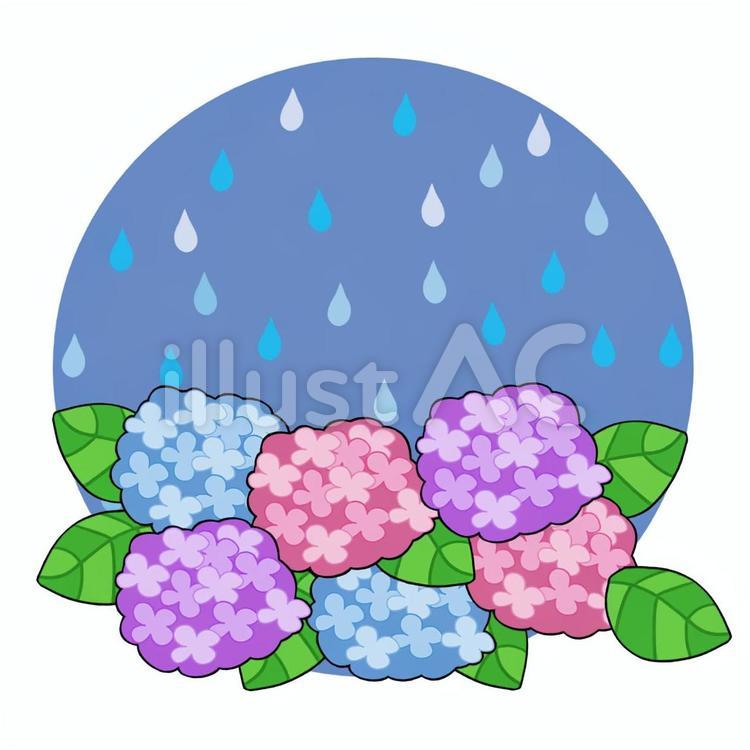 あじさいと雨のカットイラスト 紫陽花,梅雨,6月のイラスト素材