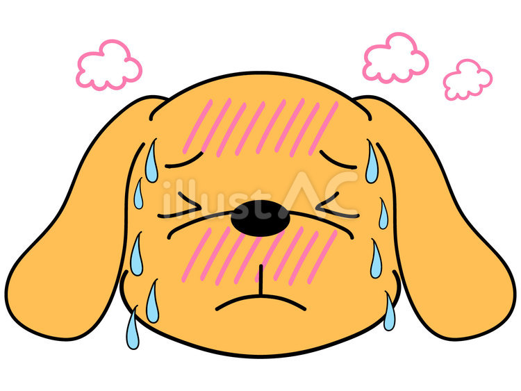 のぼせる犬 犬,ペット,ミニチュアダックスフンドのイラスト素材