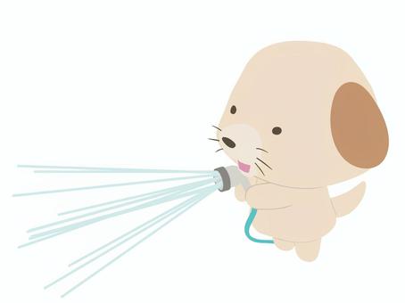 水撒き_犬 水撒き,犬,笑顔,動物,かわいい,散水,ホース,水,打ち水のイラスト素材