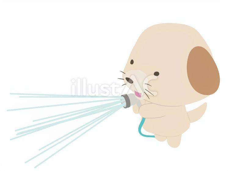水撒き_犬 水撒き,犬,笑顔のイラスト素材