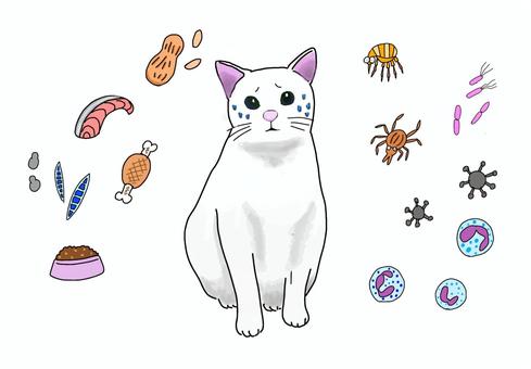 猫の周りは危険がいっぱい 猫,ネコ,寄生虫,予防,動物病院,獣医,アレルギー,ノミ,ダニのイラスト素材