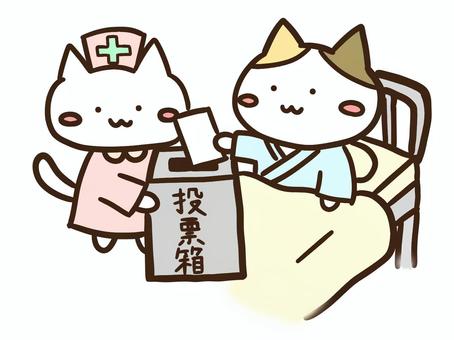 病院投票・ベッド投票するかわいい三毛猫 病院投票・ベッド投票するかわいい三毛猫 病院,投票,ベッド,期日前,政治,参加,投票箱,用紙,ねこ,かわいいのイラスト素材