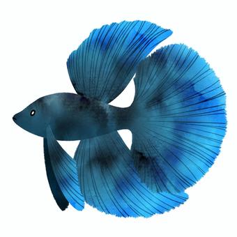 Illustration, better, fish, blue, 