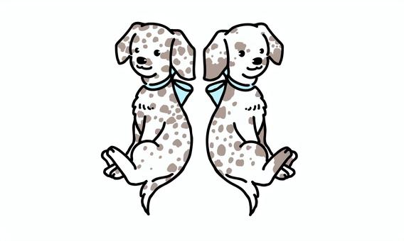 子犬_おしゃれダルメシアン（双子） ダルメシアン,わんちゃん,キャラクター,生き物,動物,かわいい,dog,おしゃれ,ペット,子犬のイラスト素材
