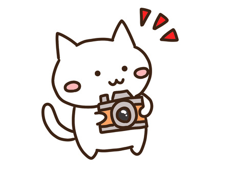 カメラで写真撮影するかわいい白ねこ カメラ,写真,撮影,ねこ,動物,かわいい,手書き,ゆるい,シンプル,デフォルメのイラスト素材