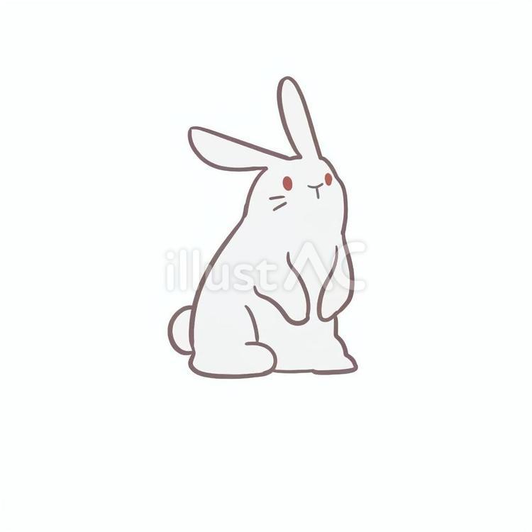 お月見　うさぎ４ うさぎ,かわいい,白のイラスト素材