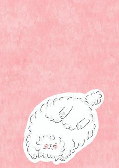 寝転ぶねこちゃん 寝転ぶねこちゃん かわいい,寝転ぶ,ゴロゴロ,のんびり,まったり,癒し,寝る,仰向け,ねこ,どうぶつのイラスト素材
