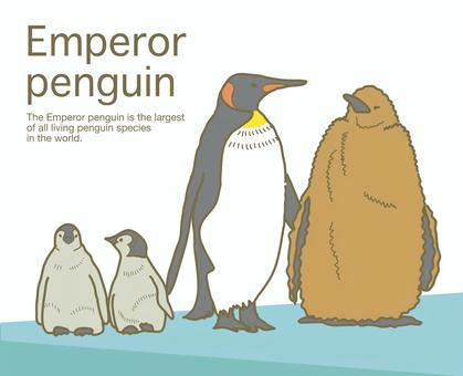 Emperor penguin parent-child color, , JPG, PNG and EPS