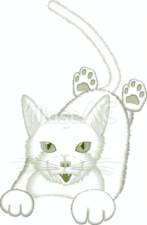 白猫　 白猫,ペット,走るのイラスト素材