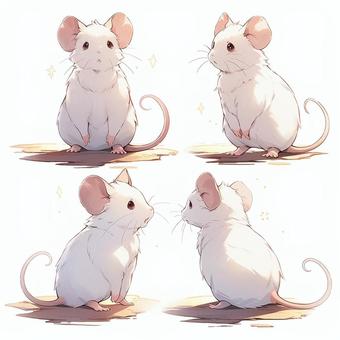 mouse, , JPG