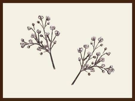 植物　リアル　イラスト 植物,リアル,花,枝,木,ボタニカル,鉛筆画,モノクロ,線画,イラストのイラスト素材