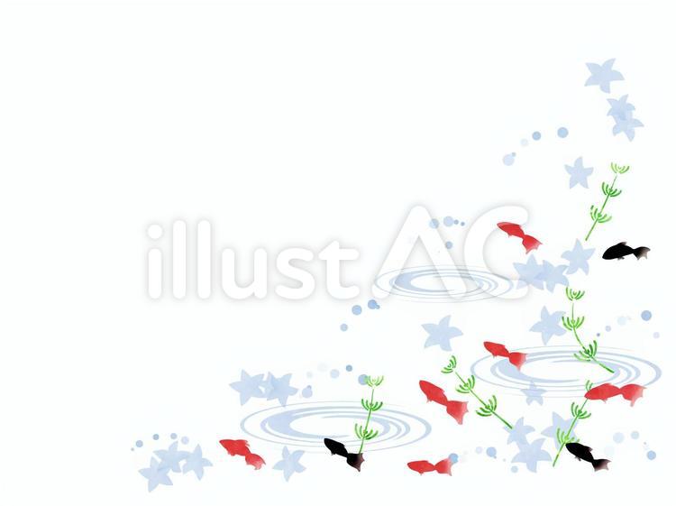 金魚　和風背景 1 金魚,金魚すくい,水草のイラスト素材