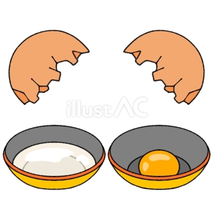 分けられた白身と黄身 卵,生卵,白身のイラスト素材