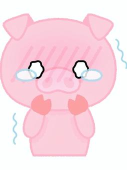 ブタ涙目 豚,涙目,震える,動物,家畜,食べ物,ピンクのイラスト素材