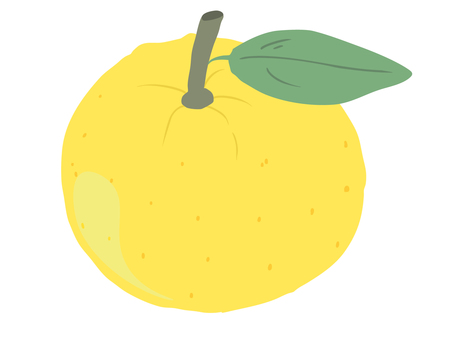ゆず 主線なし 柚子,柑橘,実,主線なし,ゆるかわ,かわいい,広告,チラシ,cm,白背景のイラスト素材
