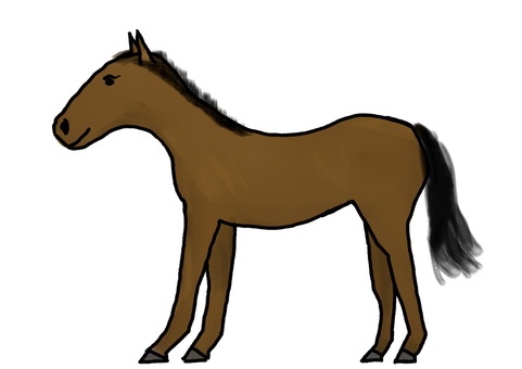 ウマ ウマ,馬,動物,競走馬,サラブレッド,生き物,手書き,イラストのイラスト素材